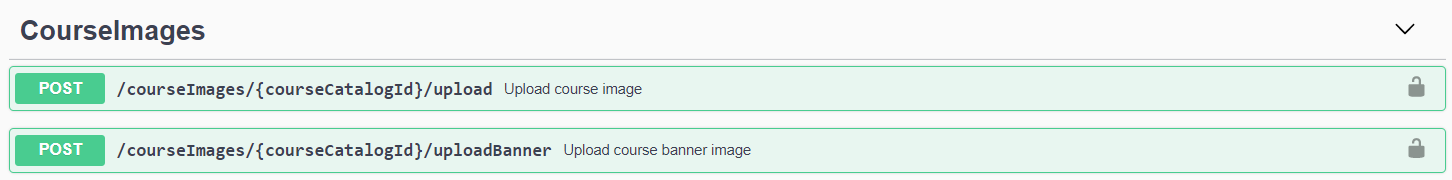 API sections13.png